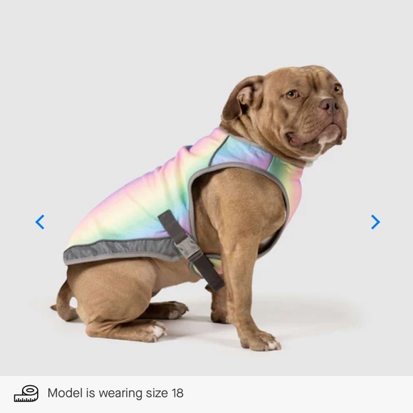 Canada Pooch Chill Seeker Cooling Vest - Rainbow - Size 16 - Picture 7 of 16